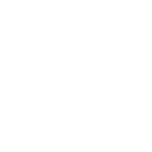 Modern Tribe Tattoo Studio